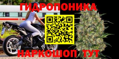 герыч Дубна