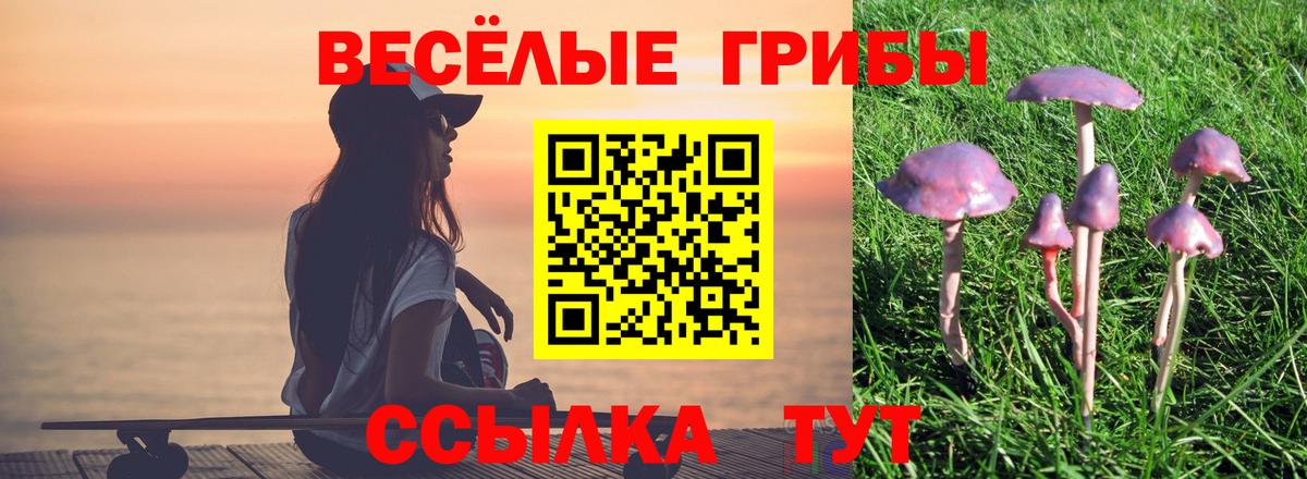 Псилоцибиновые грибы MAGIC MUSHROOMS Ликино-Дулёво