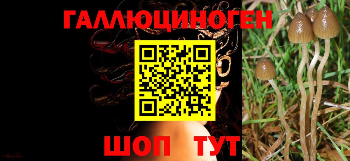 Псилоцибиновые грибы ЛСД  Вход с VPN  Галлюциногенные грибы мухоморы  Ликино-Дулёво 